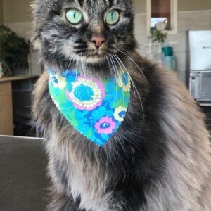 exc-6065e38636101640f8adfe0a