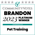 Community Votes Brandon 2023 Platinum Winner Voted Best In Pet Training
